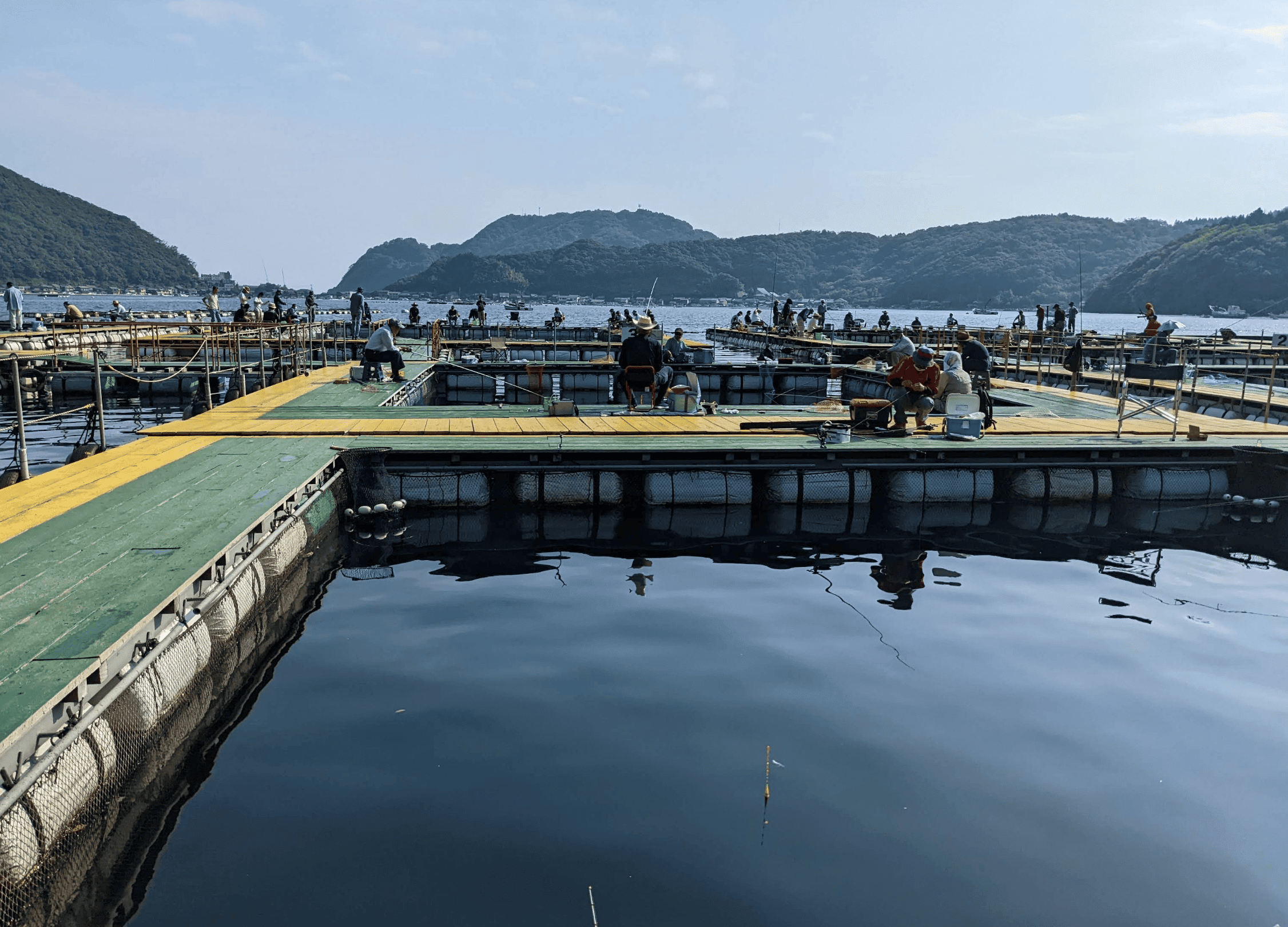 フィッシングランド日向