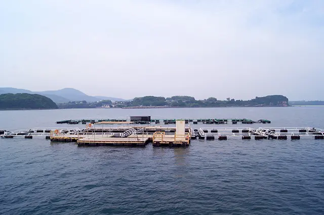 阿久根シーパーク