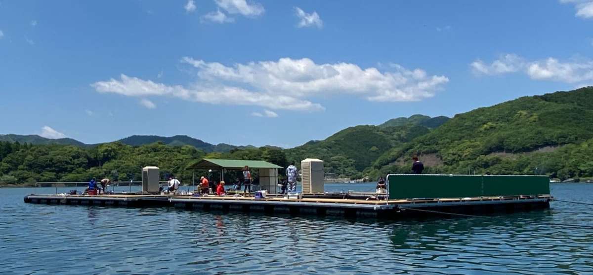 あなたに逢い鯛。釣り堀