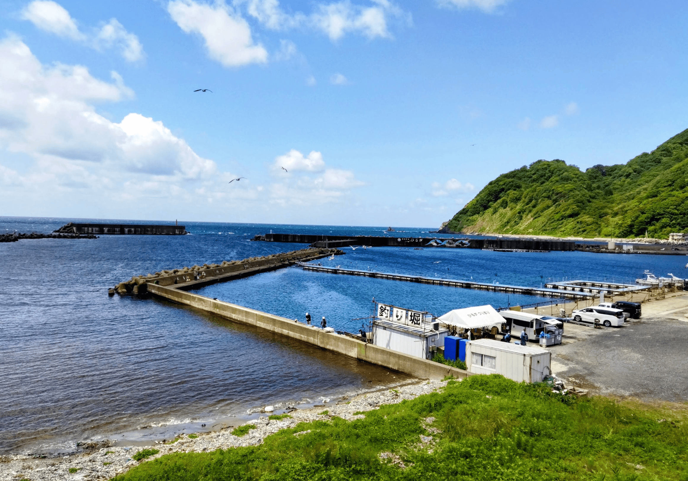 ひるが海上釣堀