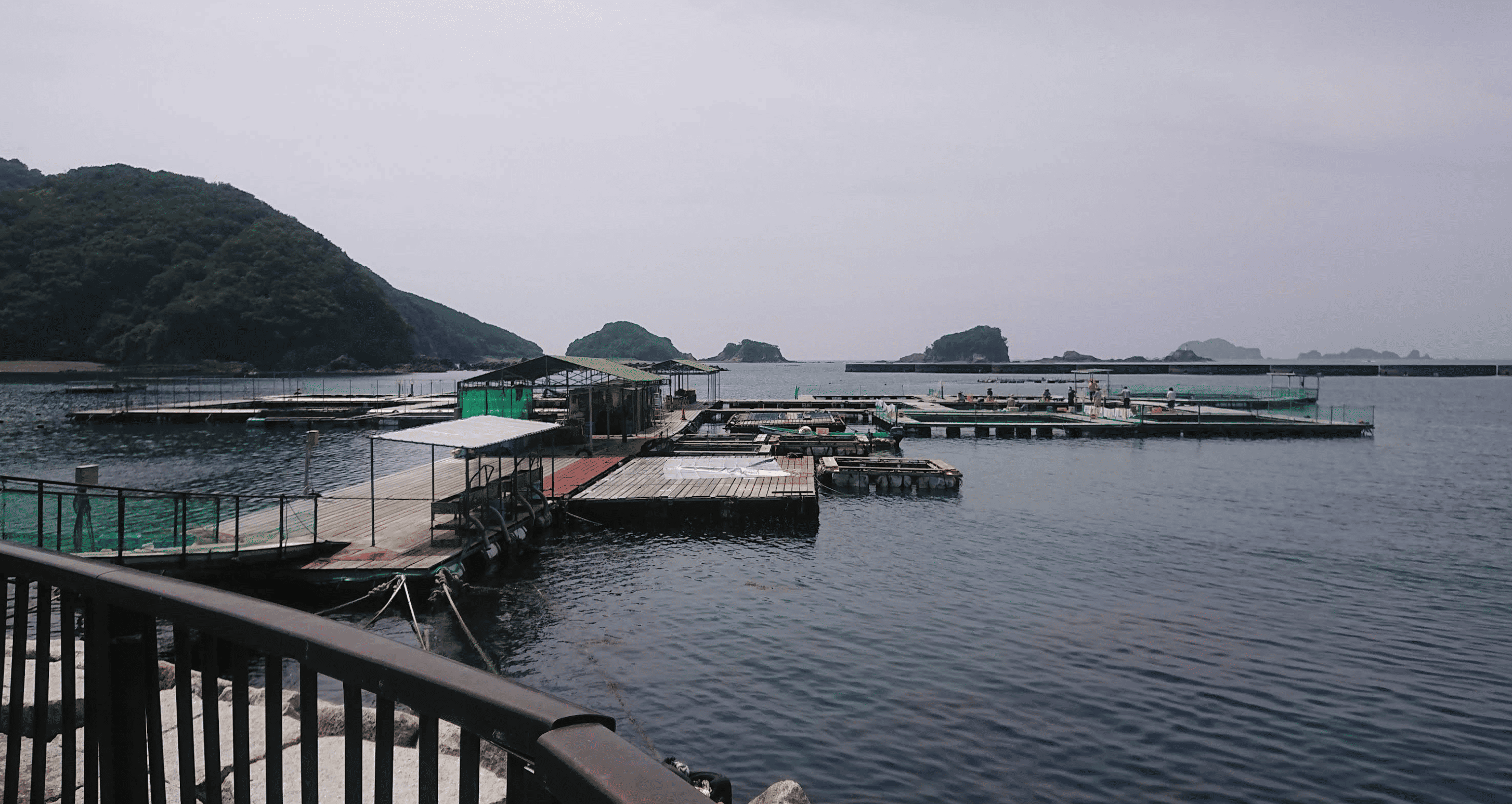 海上釣り堀 正徳丸